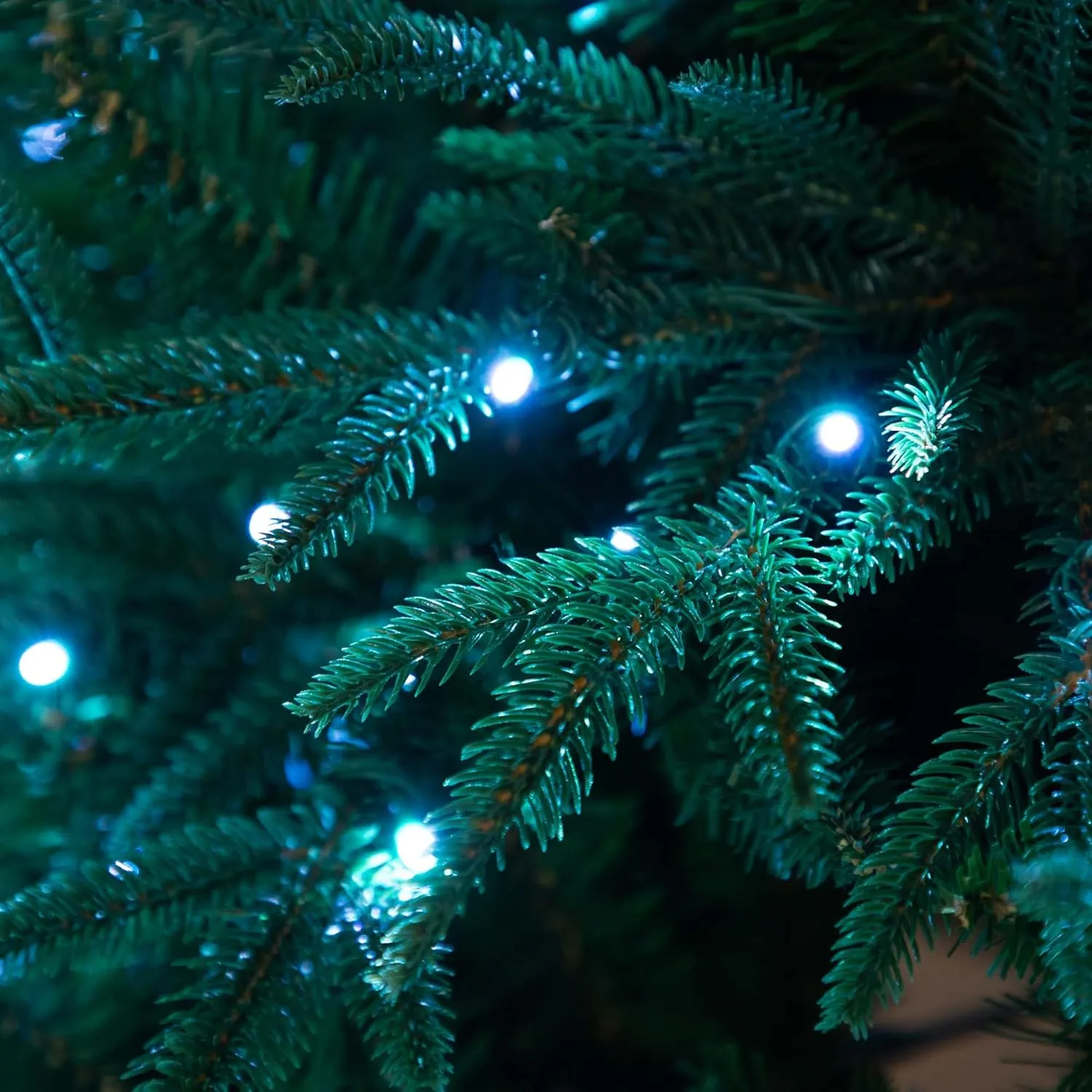 Nearly Natural 6ft. Pre-Lit Artificial Edmonton Fir Light Show Memory Shape Christmas Tree with Instant Connect Technology and 300 Color Changing LED Lights