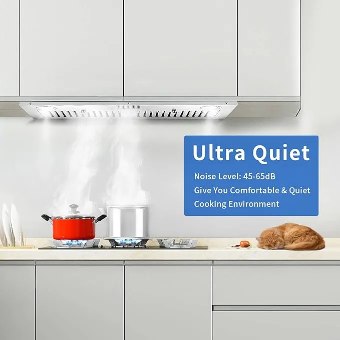 Zomagas Range Hood Insert 30 inch,Stainless Steel Kitchen Vent Hood 600CFM,Built-in Kitchen Stove Hood w/Front Button Controls and Front LED Lights,Baffle Filters,Ducted/ductless Convertible 